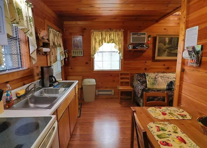 Mountain Cabin 2B Jacuzzi #10